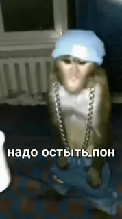 🐒 надо остыть, пон 원숭이, 모자, 체인, 러시아 whatsapp sticker
