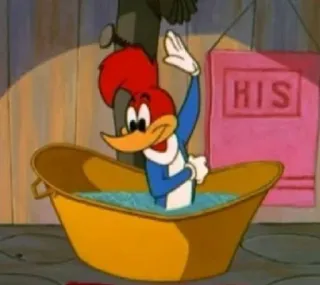 🤧 Woody Woodpecker HIS Cartone animato, Uccello, Bagno, Bagno, Asciugamano, Acqua, Personaggio whatsapp sticker