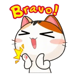 👏 Bravo! แมว, บราโว่, ยินดีด้วย, สติกเกอร์, น่ารัก, มีความสุข, การเฉลิมฉลอง, การ์ตูน telegram sticker