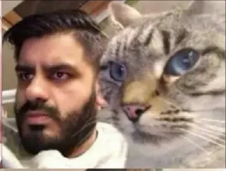 🤔 man, cat, selfie, pet, friendship, portrait telegram sticker