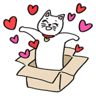 🐈 cat, box, hearts, cute, animal, sticker telegram sticker