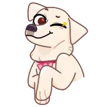 😉 cachorro, fofo, animal, animal de estimação, piscadela whatsapp sticker