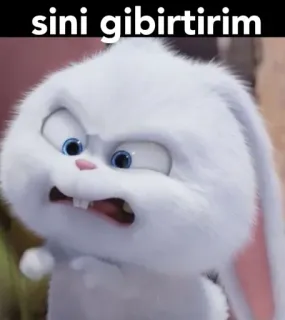 😤 sini gibirtirim 토끼, 밈, 불쾌한, 토끼 whatsapp sticker