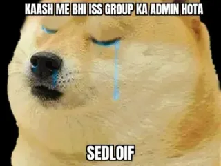 😭 Doge Meme KAASH ME BHI ISS GROUP KA ADMIN HOTA SEDLOIF doge, meme, crying, sad, admin, whatsapp, telegram, sticker telegram sticker