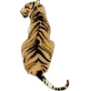 ๐คฉ