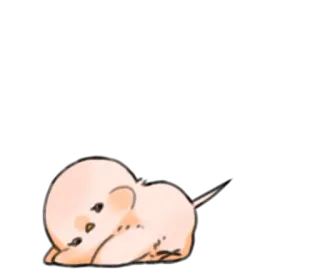 🙁 souris, mignon, animal, dessin animé, dormir, paresseux telegram sticker