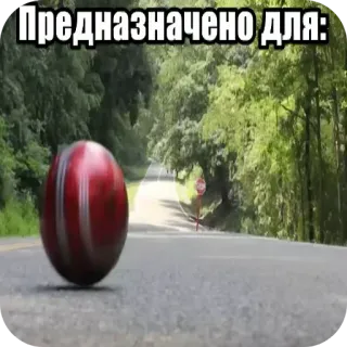 🛣 Предназначено для: whatsapp sticker