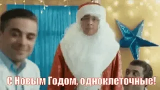 🤔 С Новым Годом, одноклеточные! ông già Noel, giáng sinh, lễ kỷ niệm, năm mới whatsapp sticker