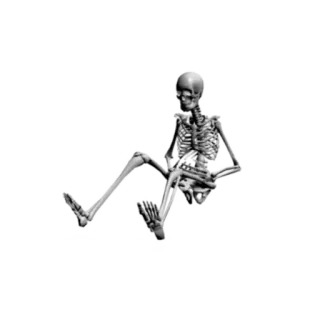 🦴 squelette, anatomie, os, crâne whatsapp sticker