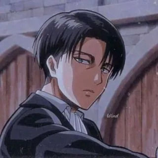 🤨 Levi Ackerman Attack on Titan Anime, Postać, Poważny, Levi Ackerman, Atak Tytanów telegram sticker