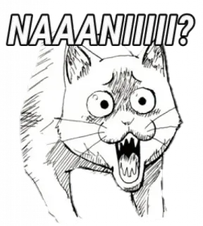 😱 NAAANIIII? cat, shocked, anime, manga, surprise, exclamation, naani telegram sticker