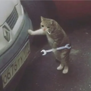 🔧 gato, llave inglesa, reparación de coches, humor, animal telegram sticker