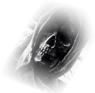 😱 death, skull, skeleton, grim reaper, macabre, horror telegram sticker