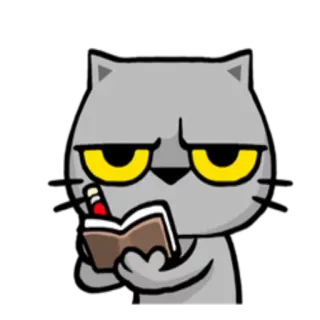 ✍ cat, reading, book, studying, serious, animal telegram sticker