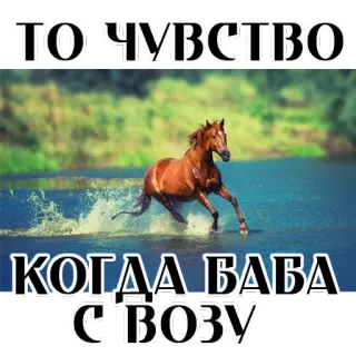 😊 ТОЛЧУВСТВО
КОГДА БАБА СІВОЗУ ngựa, động vật, thiên nhiên, nước, tiếng Nga, chữ, trò đùa whatsapp sticker