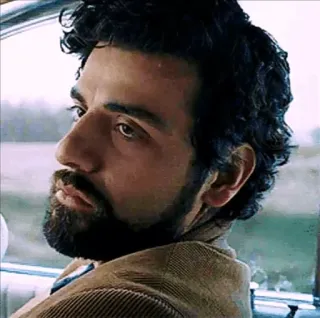 😐 man, portrait, actor, oscar isaac, beard telegram sticker