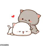 ๐ฝ cat, cats, cute, sleep, sleeping, kawaii, kitten telegram sticker