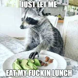My Evil Raccoon 😎🐾 telegram stickers