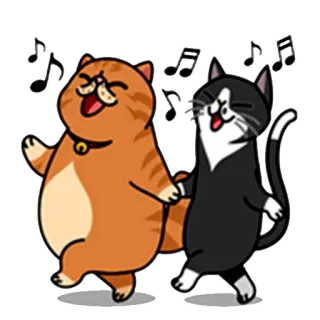 🔊 кот, танцы, музыка, мультфильм, животное, милый whatsapp sticker