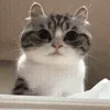 😧