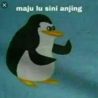 😡 maju lu sini anjing 企鹅, 侮辱, 动物, 表情包, 搞笑 whatsapp sticker