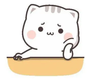 🧉 cat, cute, sticker, sad, animal telegram sticker