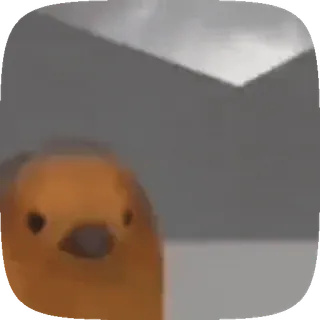 🕊 oiseau, animal, mignon, dessin animé, drôle, mème telegram sticker