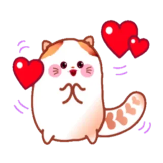 💞 gato, coração, amor, fofo, animal, desenho animado telegram sticker