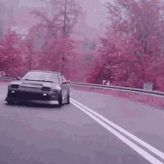 🌸 auto, drifting, automotive, veicolo, auto sportiva, strada, Nissan telegram sticker