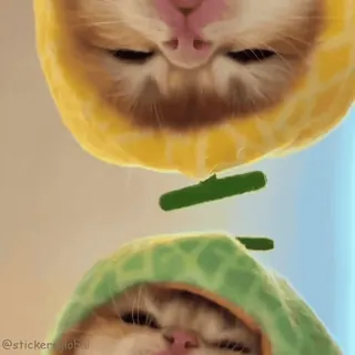 🙃 telegram sticker