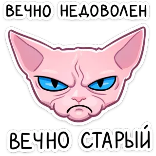 ☹️ ВЕЧНО НЕДОВОЛЕН
ВЕЧНО СТАРЫЙ Katze, Sphynx, grimmig, unzufrieden, alt, immer, für immer, Stimmung telegram sticker