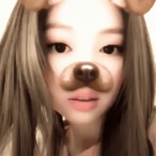 💋 filtro perro, selfie, lindo, mujer, diversión, filtro cara telegram sticker