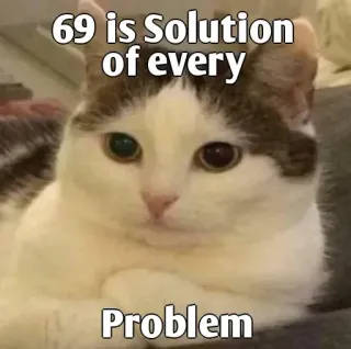 👀 69 is Solution of every Problem cat, meme, humor, joke whatsapp sticker