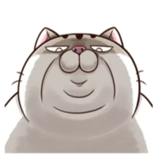 😒 cat, animal, sticker, funny telegram sticker