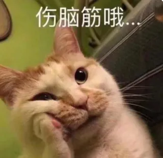 🥲 伤脑筋哦... gato, meme, gracioso, animal telegram sticker
