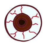 👁