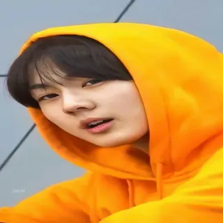😎 JYP kpop, personne, sweat à capuche, jaune, asiatique, portrait whatsapp sticker