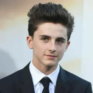 🦇 Timothée Chalamet Actor, Celebridad, Timothée Chalamet, Retrato, Persona, Hombre telegram sticker
