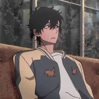 🌊 Anime, Menino, Personagem, Jaqueta, Desenho animado telegram sticker