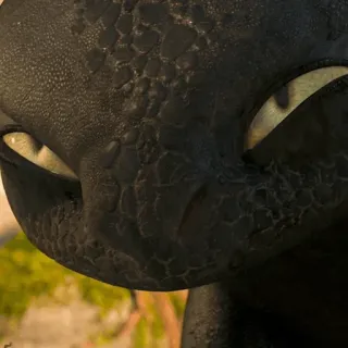 📍 Toothless How to Train Your Dragon Drache, schwarz, Tier, süß, Haustier telegram sticker