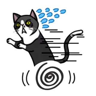 🏃 кот, мультфильм, пот, скорость, животное, мем, стикер whatsapp sticker