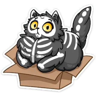 😳 gato, gatito, esqueleto, caja, halloween, animal whatsapp sticker