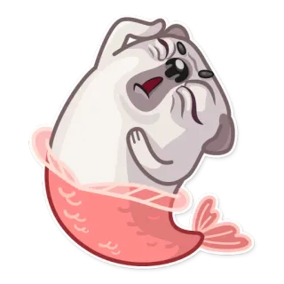 Water Pug whatsapp stickers