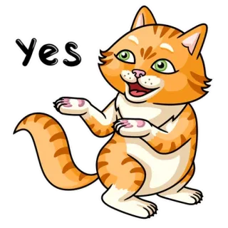 👍 yes gato, sim, feliz, laranja, fofo, acordo telegram sticker