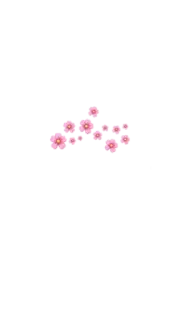🌸 fiore, rosa, fioritura, floreale telegram sticker