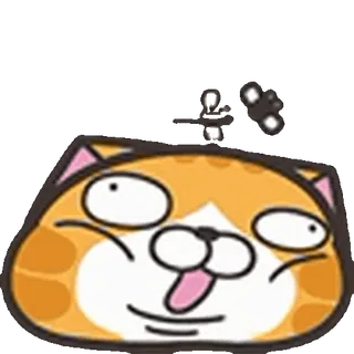 🪰