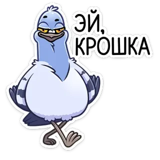 🥰 Эй, КРОШКА pájaro, paloma, dibujo animado, ruso, saludo, gracioso telegram sticker