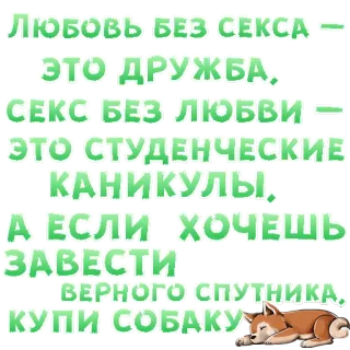 😍 ЛЮБОВЬ БЕЗ СЕКСА
ЭТО ДРУЖБА,
СЕКС БЕЗ ЛЮБВИ -
ЭТО СТУДЕНЧЕСКИЕ
КАНИКУЛЫ,
А ЕСЛИ ХОЧЕШЬ
ЗАВЕСТИ
ВЕРНОГО СПУТНИКА,
КУПИ СОБАКУ amore, amicizia, sesso, cane, russo, citazione, umorismo telegram sticker