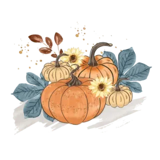 🍂 호박, 가을, 가을, 잎, 꽃무늬, 수확 telegram sticker