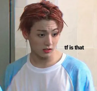🤨 tf is that Meme, Lustig, Ausdruck, WTF, Kpop telegram sticker